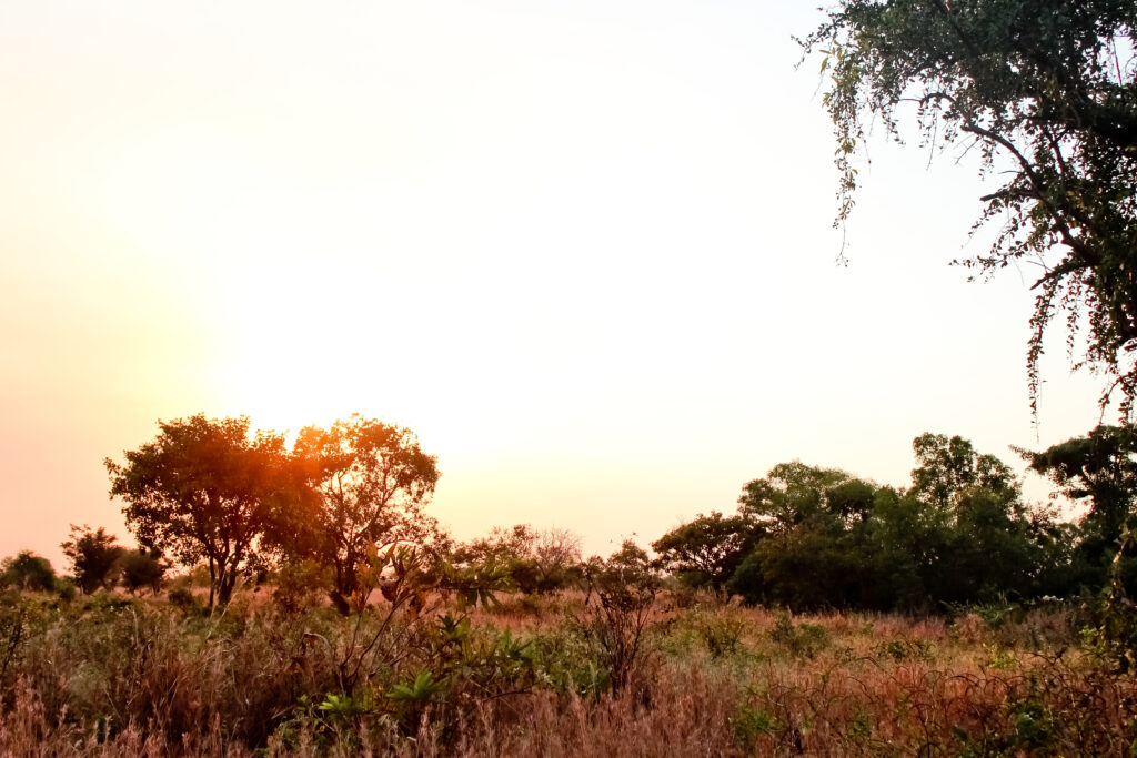 Sunset in Tonj, South Sudan