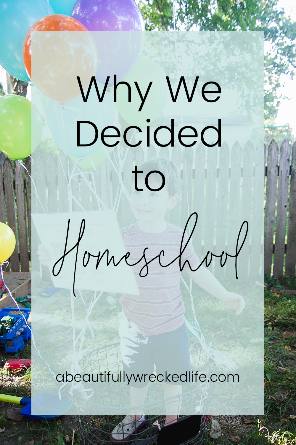 Top 5 Reasons Why We Decided to Homeschool