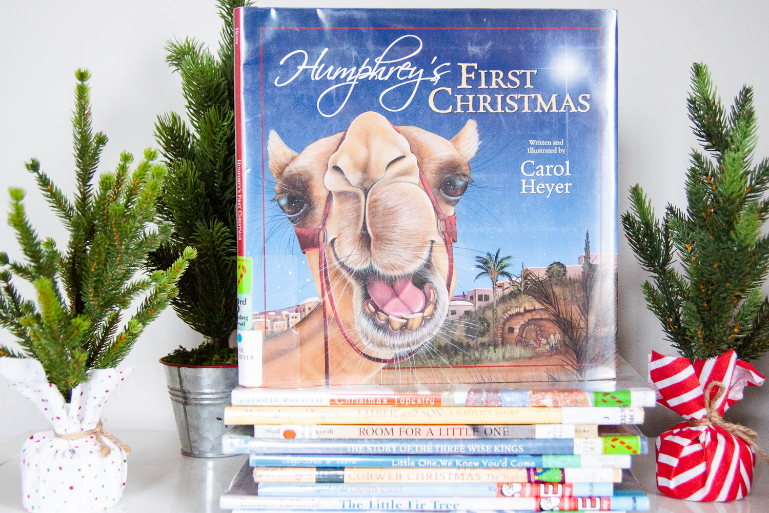 Our 25 Favorite Christmas Picture Books