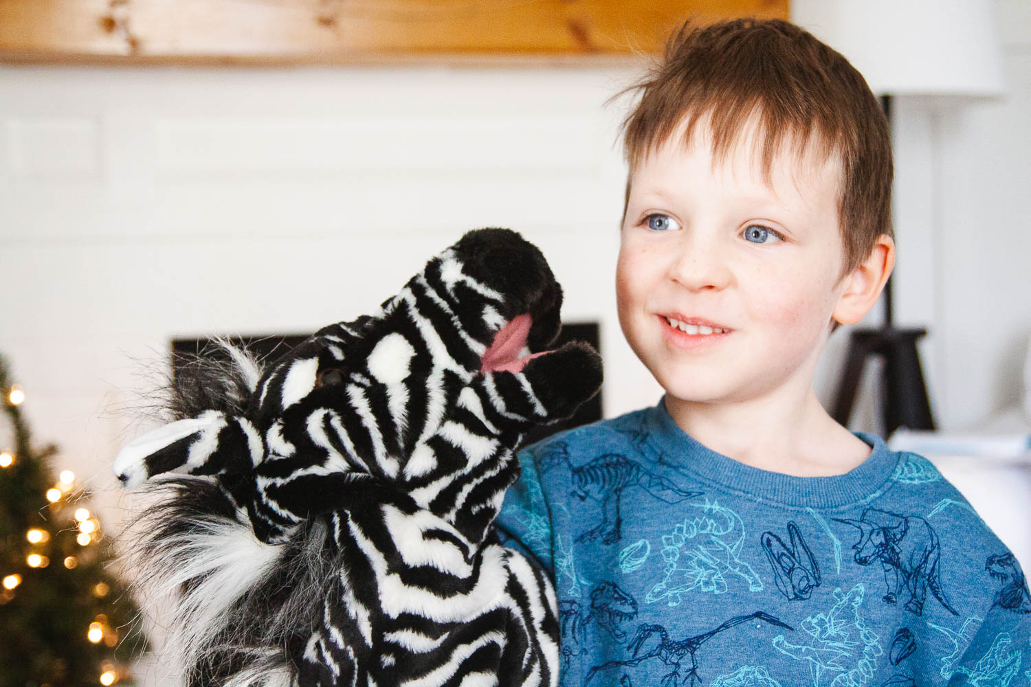 Ziggy the Zebra puppet for Homeschool Kindergarten