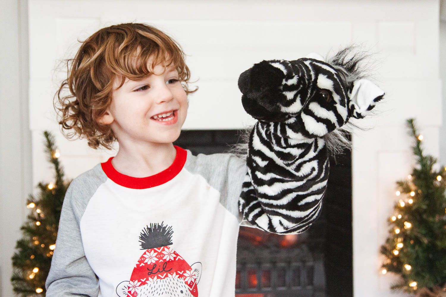 Ziggy the Zebra puppet for Homeschool Preschool
