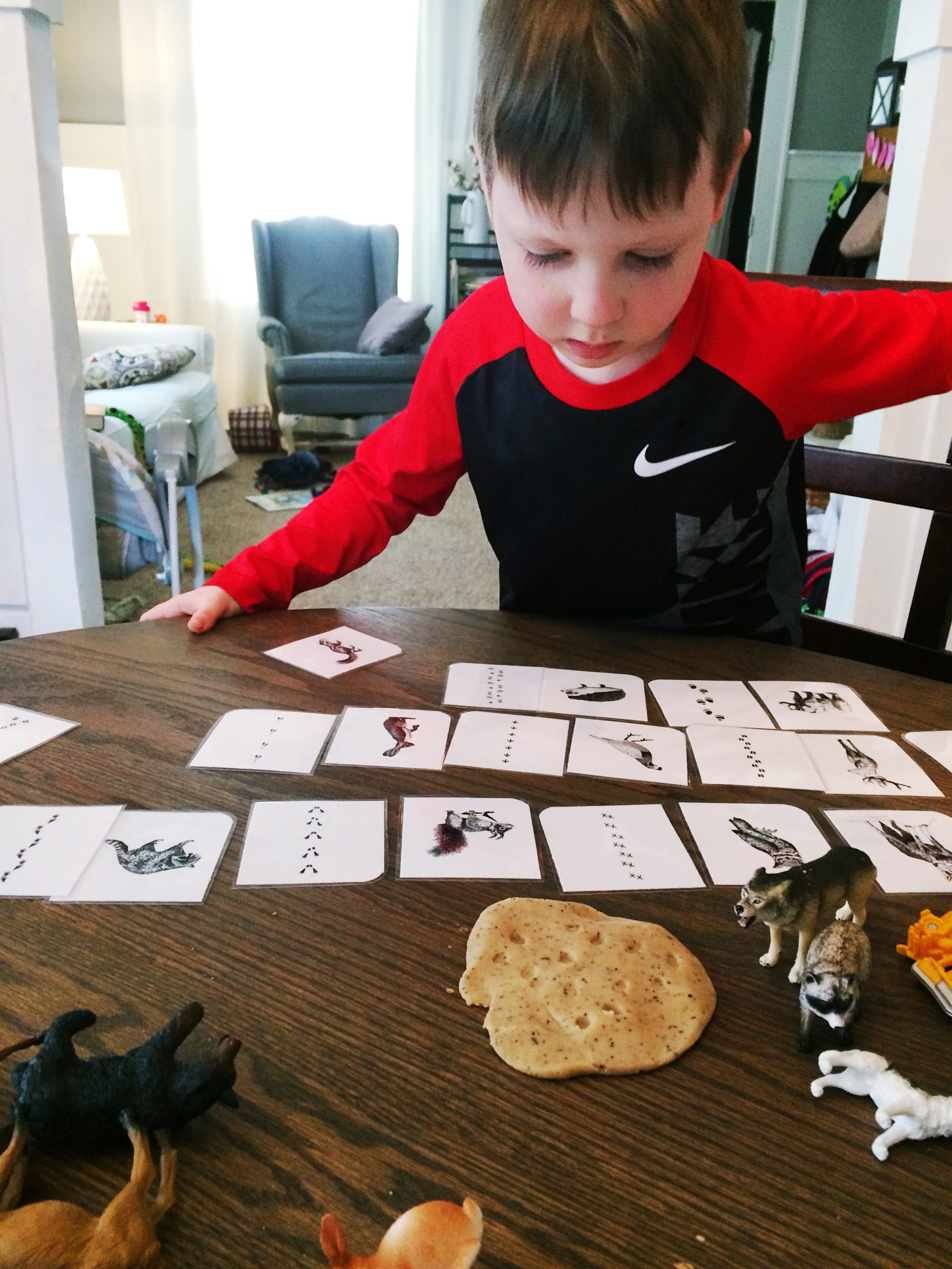 Nature Study | Studying Animal Tracks