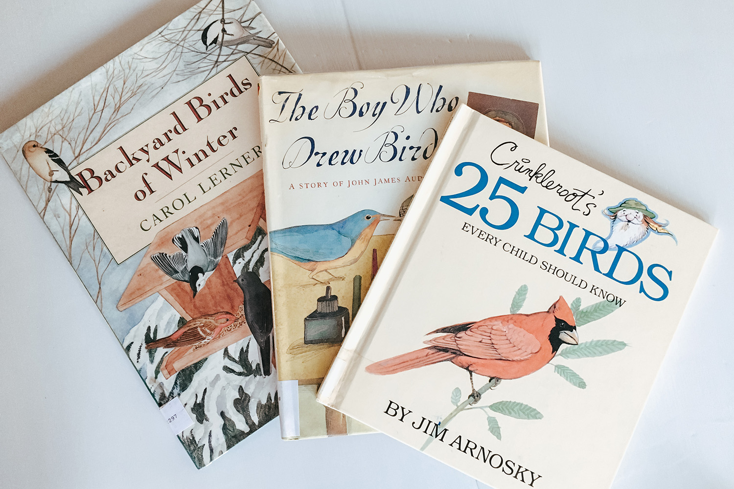 Winter Birds Nature Study | Living Books List & Resources