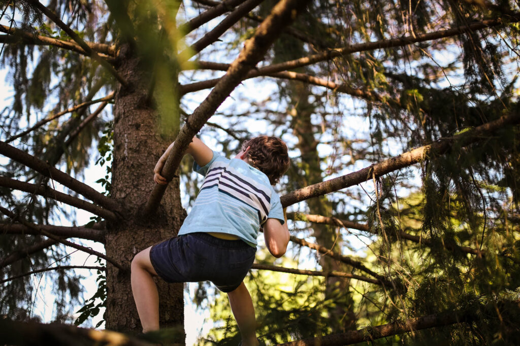 Climbing trees as we work toward our 1000 hours outside goal