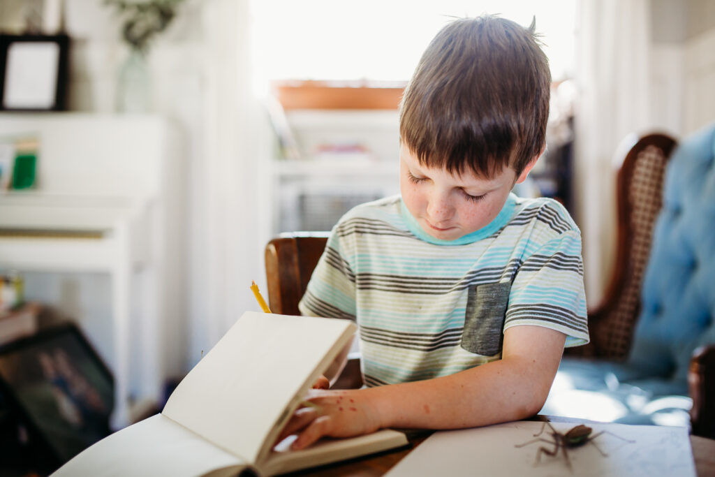 Our Daily Schedule: Afternoon Occupations in Our Charlotte Mason Homeschool