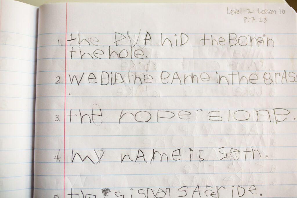 Difficulty with writing and spelling is one indicator of dyslexia.